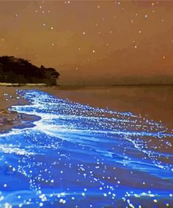 Beach at Night paint by numbers