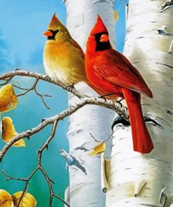 Birch Trees and Cute Birds paint by numbers