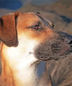 Black Mouth Cur Puppy Face paint by numbers