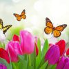 Butterflies with Tulips paint by numbers