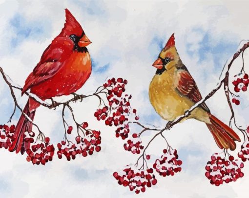 Cardinal Birds and Red Berries paint by numbers