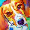 Colorful Beagle Puppy paint by numbers