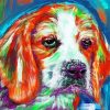 Colorful Beagle paint by numbers