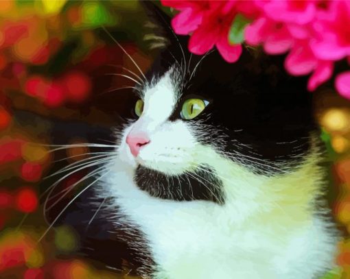 Cute Tuxedo Cat paint by numbers