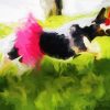 Dog in Tutu with Laser Eyes paint by numbers