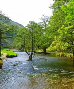 Dovedale Landscape paint by numbers