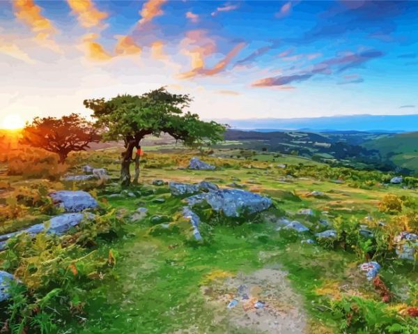 England Dartmoor National Park paint by numbers