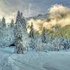 Fog Rising from the Snowy Forest paint by numbers