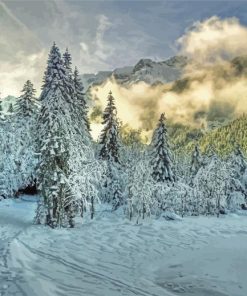 Fog Rising from the Snowy Forest paint by numbers