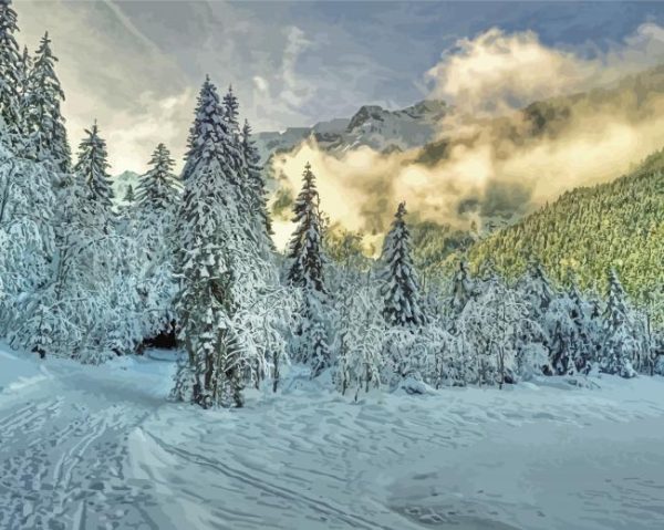 Fog Rising from the Snowy Forest paint by numbers
