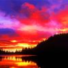 Forest Mountain Sunset paint by numbers