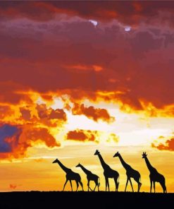 Giraffes Animals Silhouette At Sunset paint by numbers