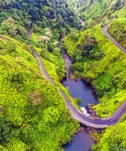 Hana Highway paint by numbers