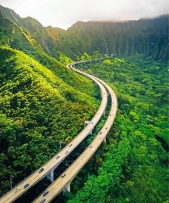 Hawaii Road Landscape paint by numbers