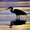 Heron Bird Silhouette paint by numbers