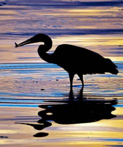 Heron Bird Silhouette paint by numbers