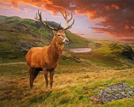 Highland Landscape with Stag paint by numbers