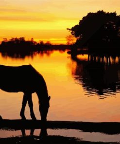 Horse Silhouette in New Forest National Park paint by numbers