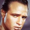 Marlon Brando Actor paint by numbers