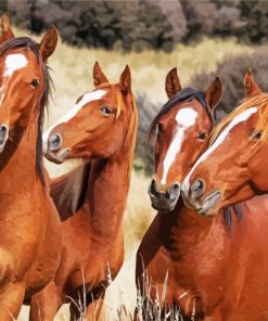 Native Brown Horses paint by numbers