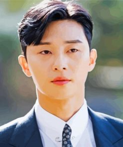 Park Seo Joon Korean Actor paint by numbers