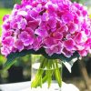 Purple Hydrangeas in Vase Glass paint by numbers