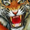 Realistic Tiger Animal paint by numbers