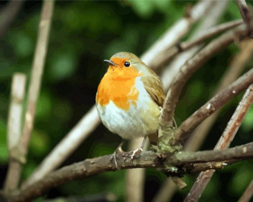 Robin Birds on Stick paint by numbers