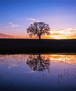 Silhouette Tree by Water at Sunset paint by numbers