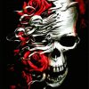 Skulls and Red Roses paint by numbers