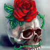 Skulls and Roses Flower Art paint by numbers