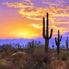 Southwest Desert Scene Sunset paint by numbers