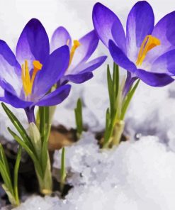 Spring Purple Flower in Snow paint by numbers