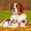 St Bernard Puppies paint by numbers