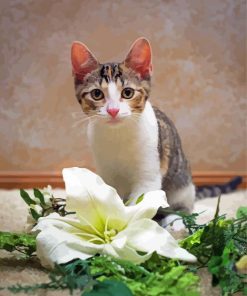 Tabby Kitty with White Flower paint by numbers