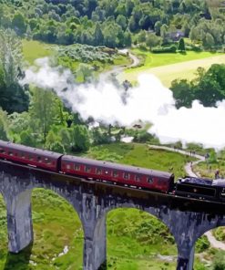 Trains On Viaduct paint by numbers