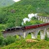 Trains On Viaduct paint by numbers