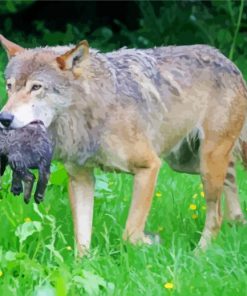 Wolf With Pup paint by numbers