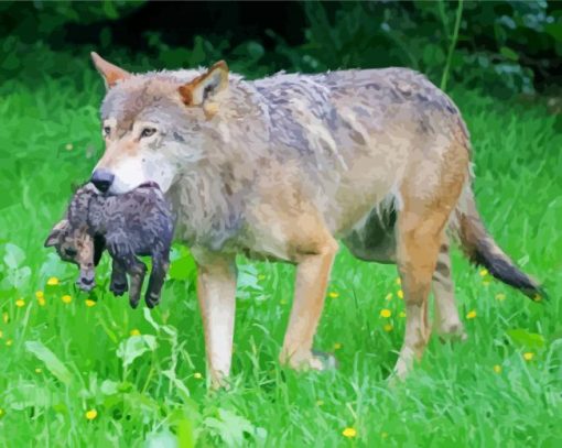 Wolf With Pup paint by numbers