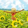 Woman in Field of Sunflowers paint by numbers