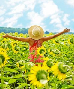 Woman in Field of Sunflowers paint by numbers