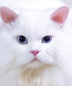 Aesthetic White Persian Cat paint by numbers