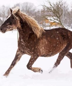 Beige Native Horse in Snow paint by numbers