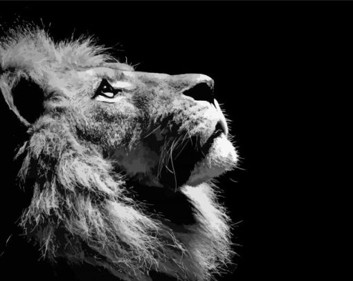 Black and White Animal Lion paint by numbers