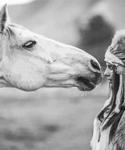 Native Horse Black and White paint by numbers