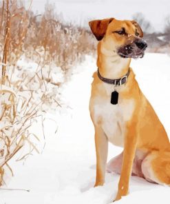 Black Mouth Cur Dog in Snow paint by numbers