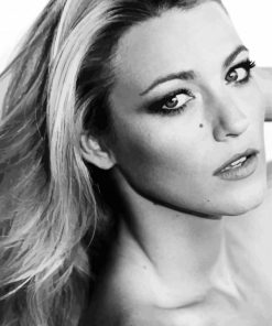 Blake Lively Black and White paint by numbers