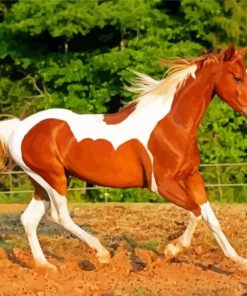 Brown Paint Horse paint by numbers