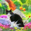 Cat in a Flowery Garden paint by numbers