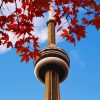 Cn Tower and Leaves paint by numbers